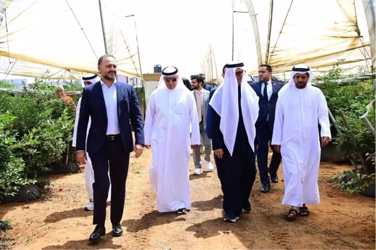 "إيليت أجرو القابضة" تعزز حضورها في المغرب باستثمارات تتجاوز 500 مليون درهم