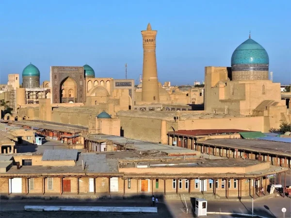 من البخاري إلى أولوغ بيك: كيف أصبحت أوزبكستان الحالية أحد أكبر مصانع المعرفة الإسلامية؟