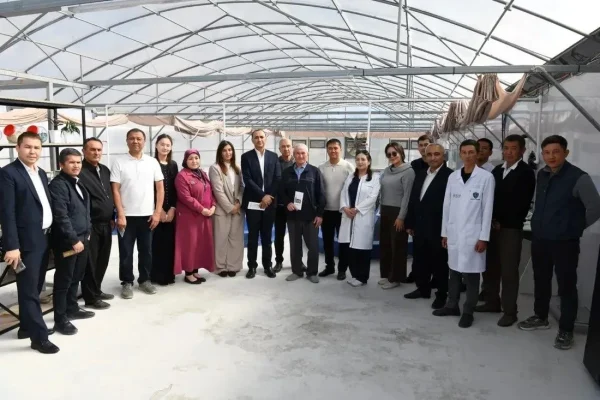 بتمويل من صندوق أبوظبي للتنمية وبالتعاون مع وزارة الزراعة في أوزبكستان